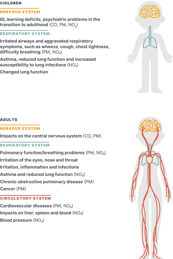 Infographic depicting two gray silhouettes of people, one shorter to represent a child and one taller to represent an adult. The child has blue lines showing the respiratory system and orange lines showing the brain. The adult has orange lines showing the brain, blue lines showing the respirator system, and red lines showing the circulatory system. The title of the graph is "Health Impacts of Pollutant Exposure". The health effects next to the child are listed: Nervous system: IQ, learning deficits, psychiatric problems in the transition to adulthood (CO, PM, NO2). Respiratory System: Irritated airways and aggravated respiratory symptoms, such as wheeze, cough, chest tightness, difficulty breathing (PM, NO2) Asthma, reduced lung function and increased susceptibility to lung infections (NO2) Changed lung function. The health effects for the adult are: Nervous System: Impacts on the central nervous system (CO, PM) Respiratory System: Pulmonary function/breathing problems (PM, NO2) Irritation of the eyes, nose and throat Irritation, inflammation and infections Asthma and reduced lung function (NO2) Chronic obstructive pulmonary disease (PM) Cancer (PM) Circulatory system: Cardiovascular diseases (PM, NO2) Impacts on liver, spleen and blood (NO2) Blood pressure (NO2)